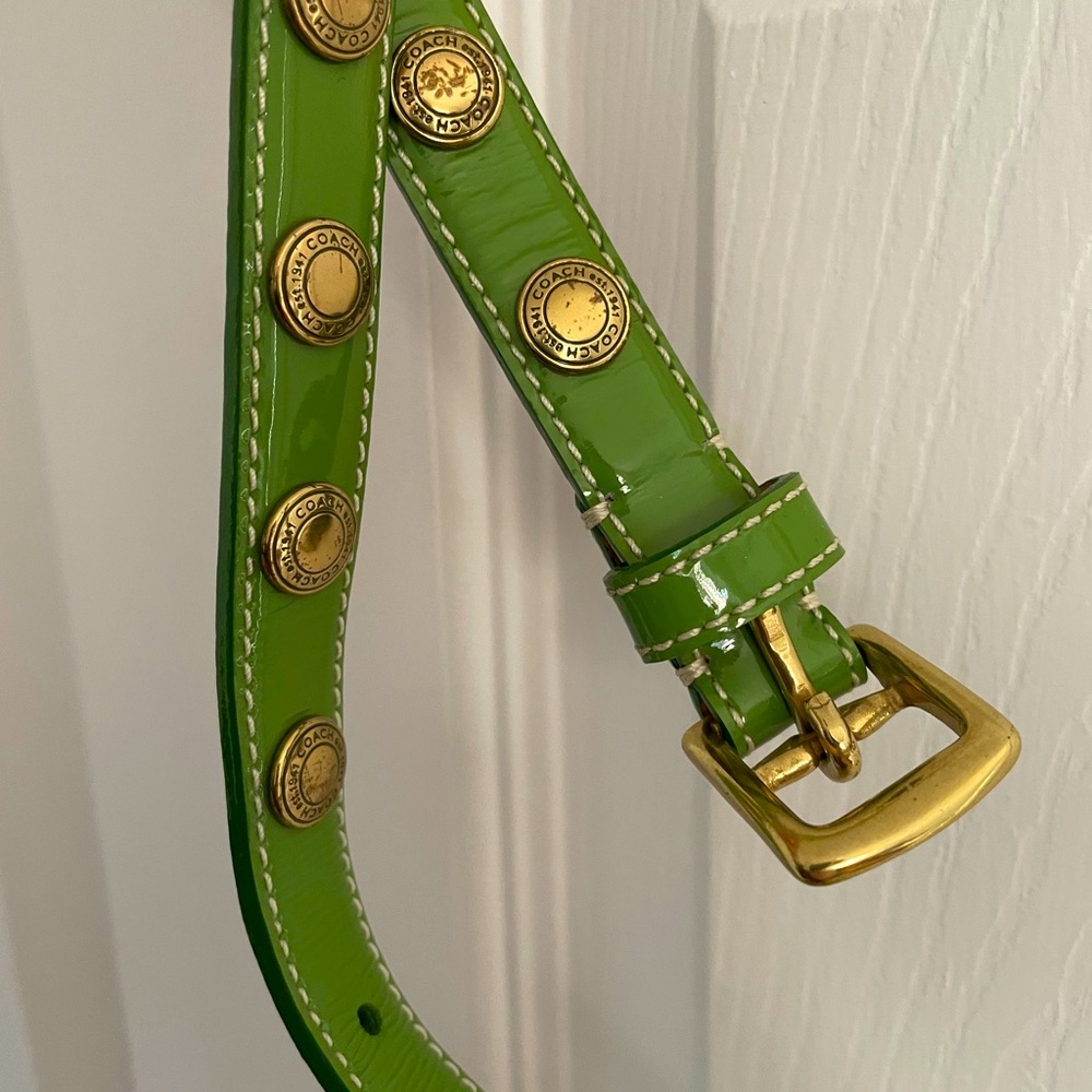 Coach belt.